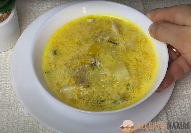 Куриный суп из Болгарии. Лучшая помощь вашему желудку