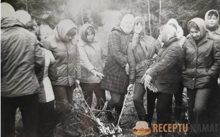 Как мы в колхозы на картошку ездили. Наша юность в СССР