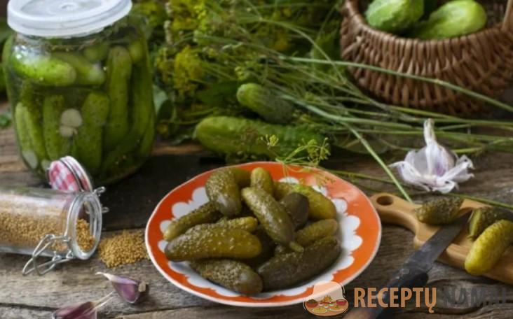 Каждый год, на протяжении 5 лет, готовлю соленые огурцы на зиму по этому рецепту. У меня всегда получаются вкусные