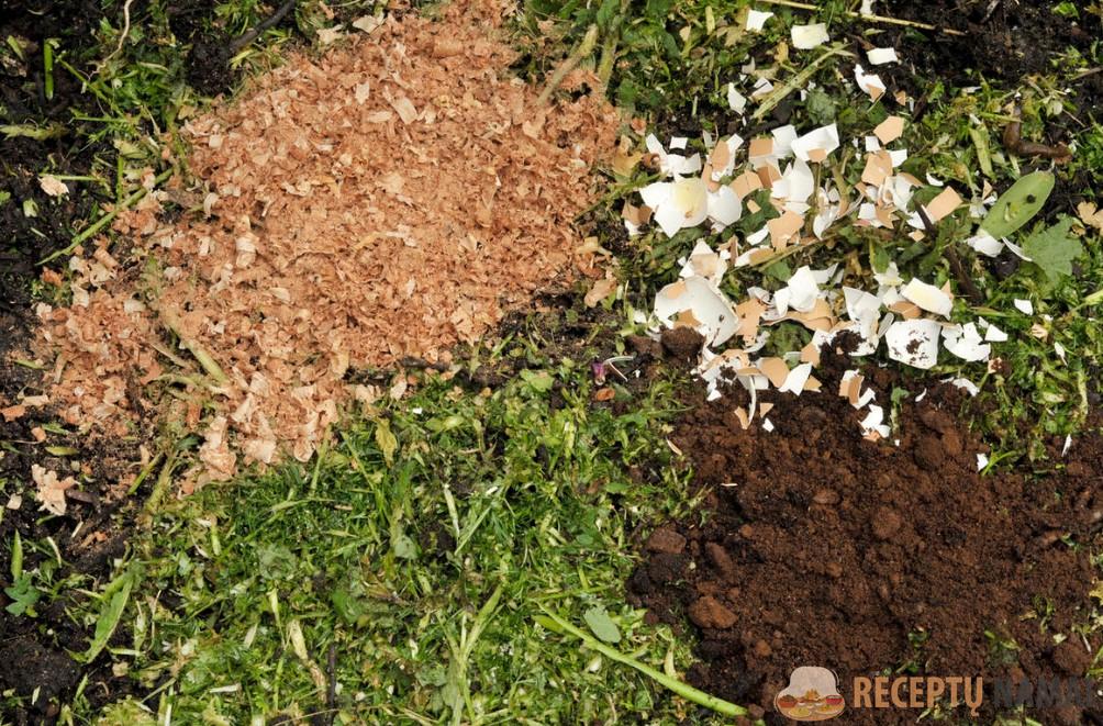 Яичная скорлупа на вес золота! 5 полезных способов применения