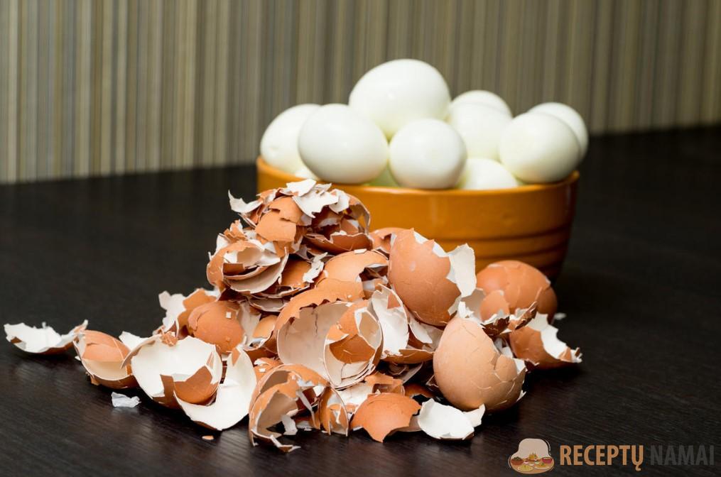 Яичная скорлупа на вес золота! 5 полезных способов применения