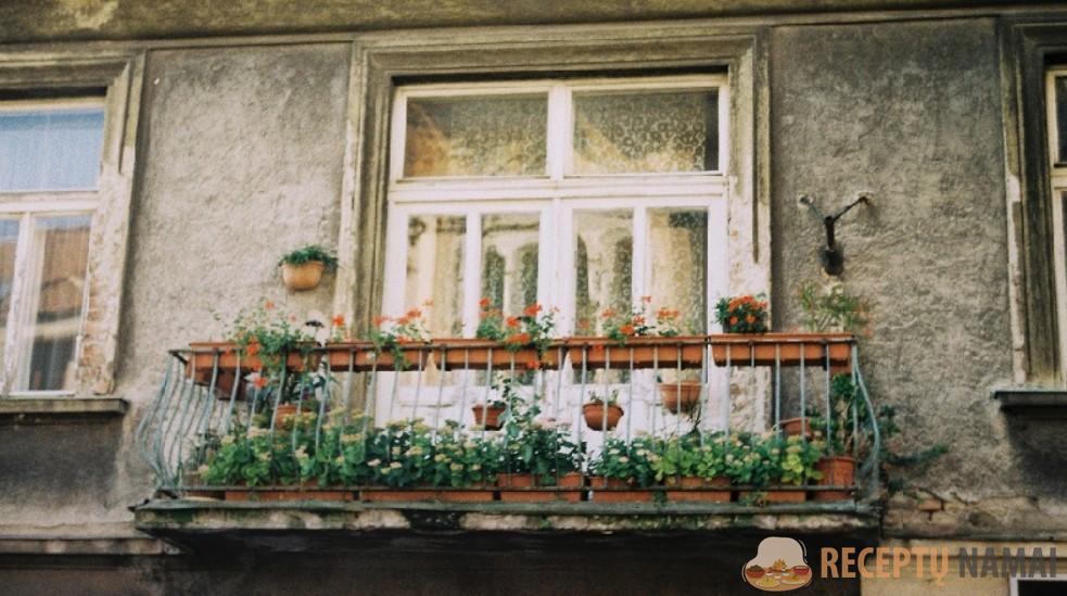 Три неявные вещи в квартире, которые выдают бедность её владельца. Я проверила свой дом