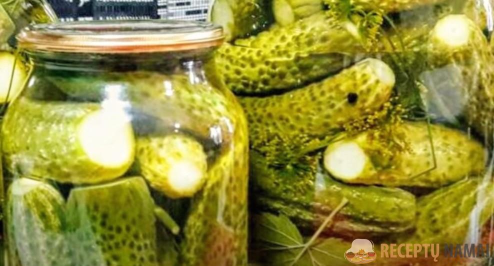 Консервированные хрустящие огурцы на зиму! Простой рецепт очень вкусных консервированных огурцов