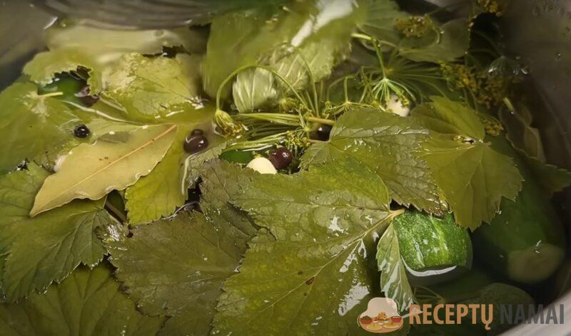 Сегодня готовлю - завтра можно есть. Мамины малосольные огурчики: лучшая летняя закуска