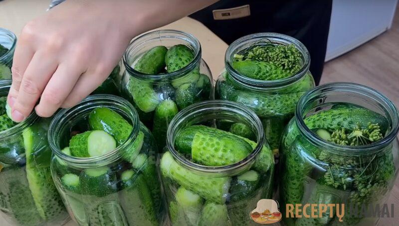 Маринованные огурцы на зиму: готовлю так 17 лет. Хрустящие огурцы в литровых банках