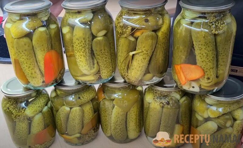 Маринованные огурцы на зиму: готовлю так 17 лет. Хрустящие огурцы в литровых банках